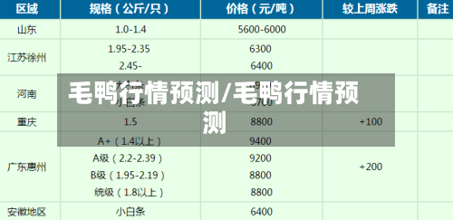 毛鸭行情预测/毛鸭行情预测