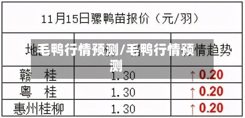 毛鸭行情预测/毛鸭行情预测-第3张图片