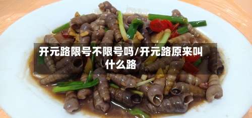 开元路限号不限号吗/开元路原来叫什么路-第2张图片