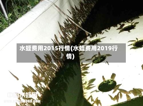 水蛭费用2015行情(水蛭费用2019行情)-第3张图片