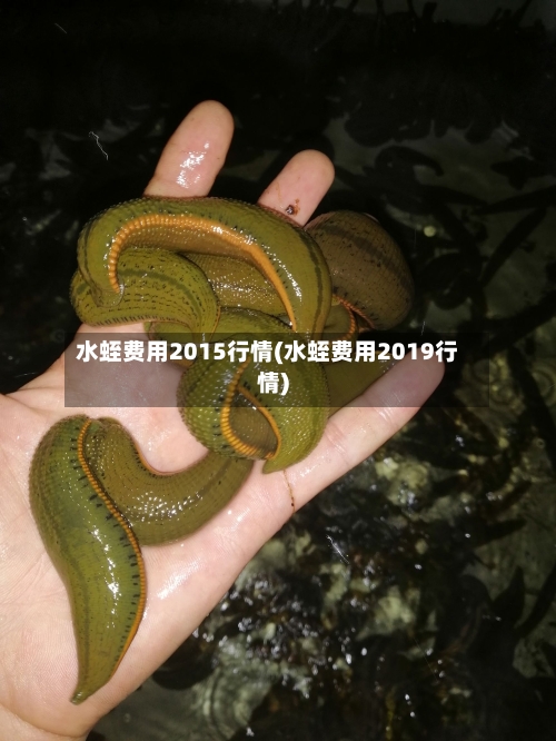 水蛭费用2015行情(水蛭费用2019行情)