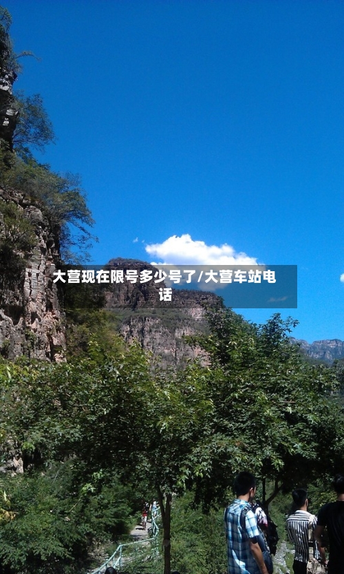 大营现在限号多少号了/大营车站电话