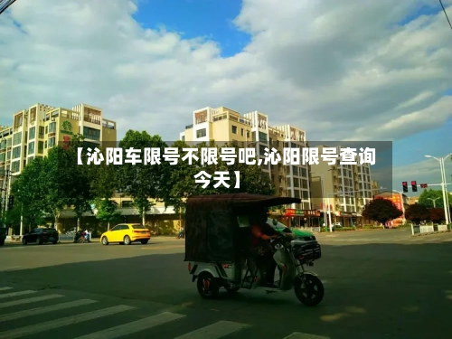 【沁阳车限号不限号吧,沁阳限号查询今天】-第2张图片