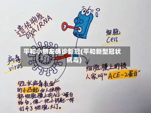 平和小朋友确诊新冠(平和新型冠状病毒)