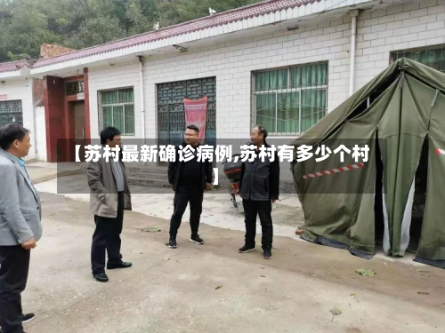 【苏村最新确诊病例,苏村有多少个村】