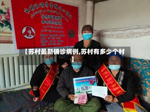 【苏村最新确诊病例,苏村有多少个村】-第2张图片