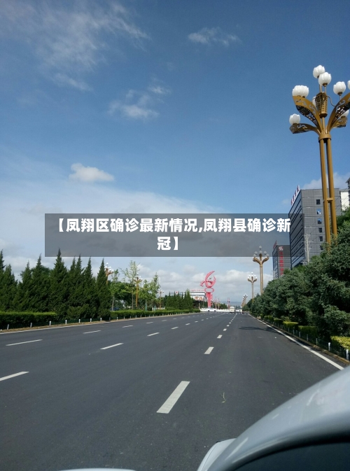 【凤翔区确诊最新情况,凤翔县确诊新冠】