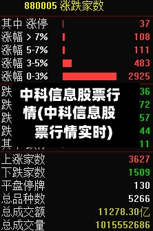中科信息股票行情(中科信息股票行情实时)