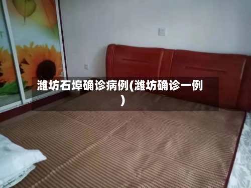 潍坊石埠确诊病例(潍坊确诊一例)