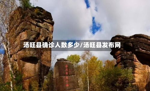 汤旺县确诊人数多少/汤旺县发布网-第2张图片