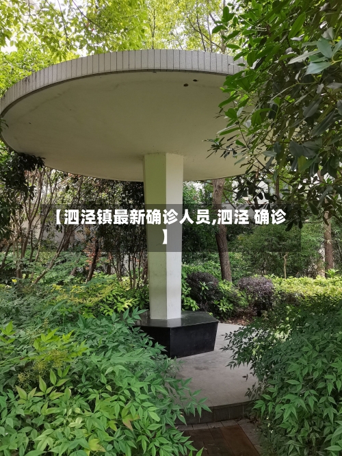 【泗泾镇最新确诊人员,泗泾 确诊】-第3张图片