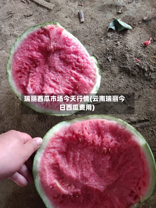 瑞丽西瓜市场今天行情(云南瑞丽今日西瓜费用)