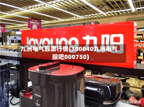 九洲电气股票行情(300040九洲电气股吧000750)-第2张图片