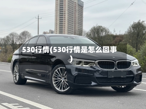 530行情(530行情是怎么回事)-第2张图片
