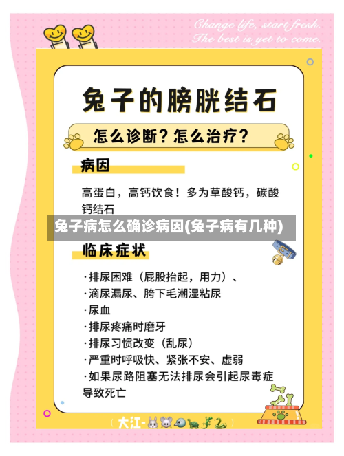 兔子病怎么确诊病因(兔子病有几种)