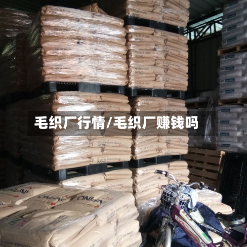 毛织厂行情/毛织厂赚钱吗