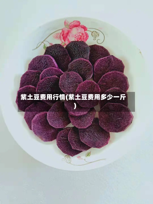 紫土豆费用行情(紫土豆费用多少一斤)-第2张图片