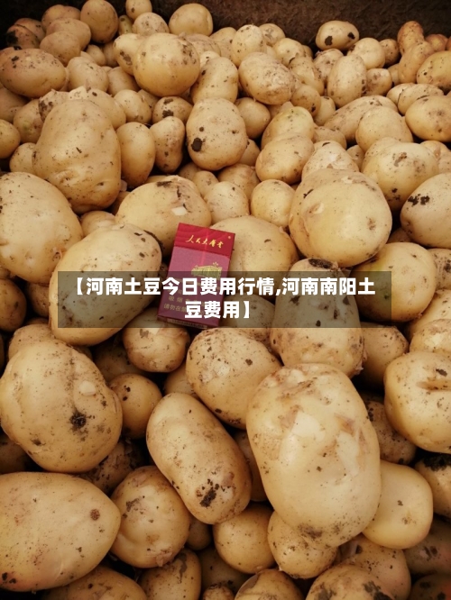 【河南土豆今日费用行情,河南南阳土豆费用】-第2张图片