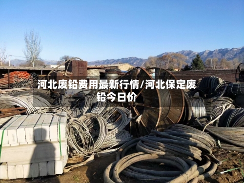 河北废铅费用最新行情/河北保定废铅今日价-第2张图片