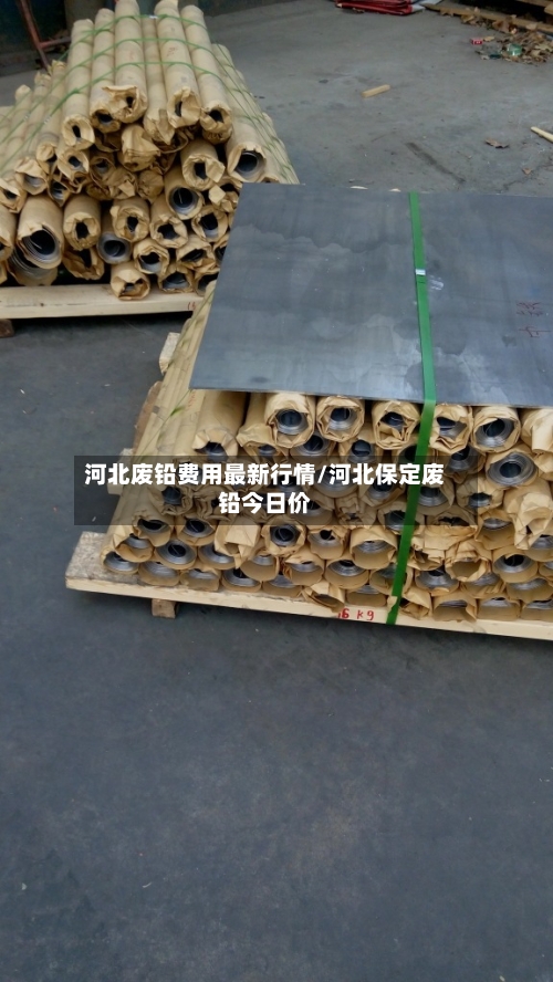 河北废铅费用最新行情/河北保定废铅今日价