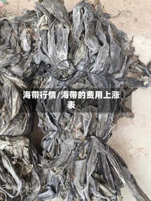 海带行情/海带的费用上涨表-第2张图片