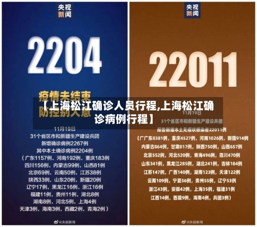 【上海松江确诊人员行程,上海松江确诊病例行程】-第2张图片