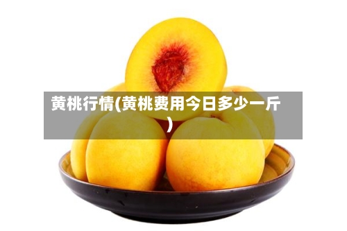 黄桃行情(黄桃费用今日多少一斤)