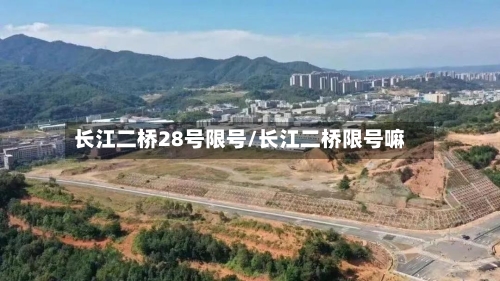 长江二桥28号限号/长江二桥限号嘛-第2张图片