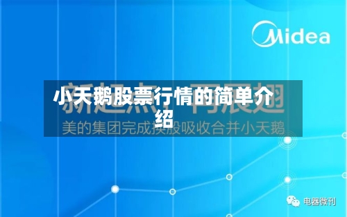 小天鹅股票行情的简单介绍