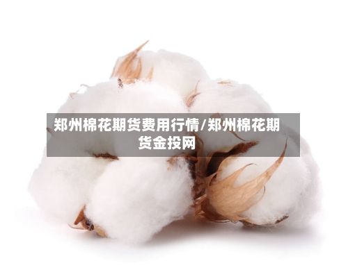 郑州棉花期货费用行情/郑州棉花期货金投网-第3张图片