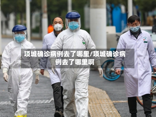 项城确诊病例去了哪里/项城确诊病例去了哪里啊