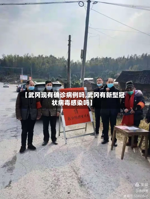 【武冈现有确诊病例吗,武冈有新型冠状病毒感染吗】