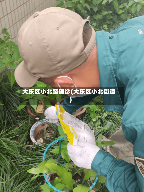 大东区小北路确诊(大东区小北街道)-第3张图片