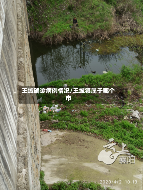 王城确诊病例情况/王城镇属于哪个市