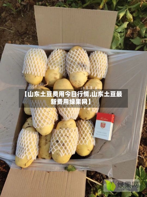 【山东土豆费用今日行情,山东土豆最新费用绿果网】-第3张图片