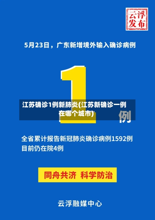江苏确诊1例新肺炎(江苏新确诊一例在哪个城市)-第2张图片