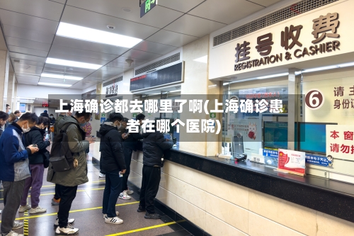 上海确诊都去哪里了啊(上海确诊患者在哪个医院)-第3张图片