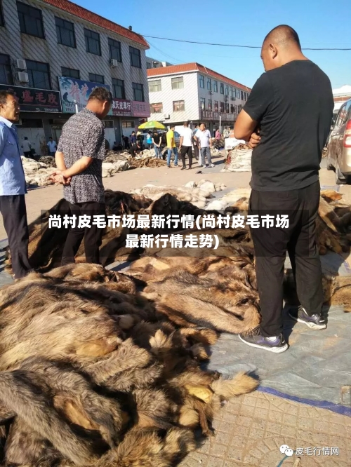 尚村皮毛市场最新行情(尚村皮毛市场最新行情走势)-第2张图片