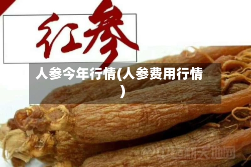 人参今年行情(人参费用行情)-第2张图片