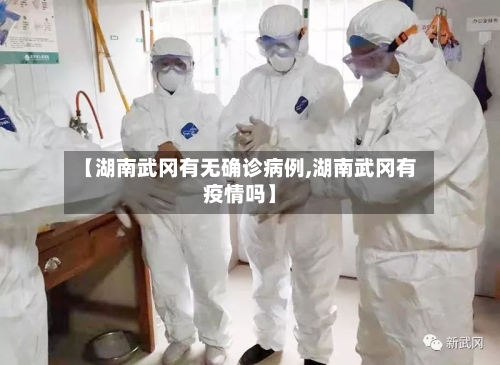 【湖南武冈有无确诊病例,湖南武冈有疫情吗】