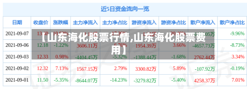 【山东海化股票行情,山东海化股票费用】