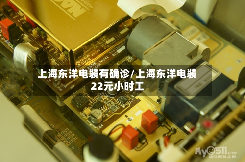 上海东洋电装有确诊/上海东洋电装22元小时工-第2张图片