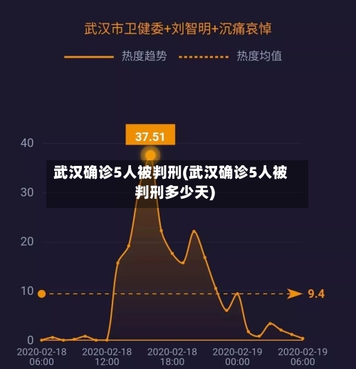 武汉确诊5人被判刑(武汉确诊5人被判刑多少天)-第2张图片