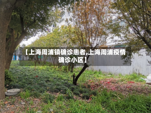 【上海周浦镇确诊患者,上海周浦疫情确诊小区】-第2张图片