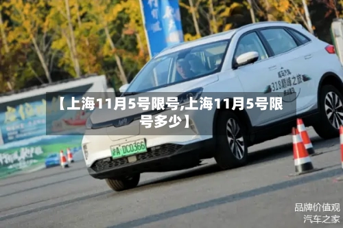 【上海11月5号限号,上海11月5号限号多少】