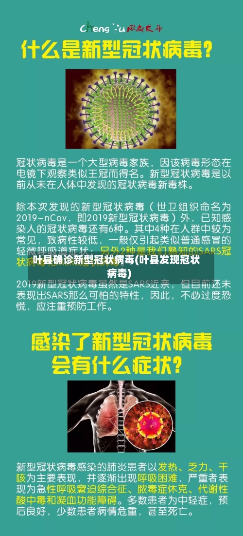 叶县确诊新型冠状病毒(叶县发现冠状病毒)