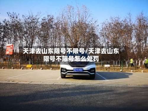 天津去山东限号不限号/天津去山东限号不限号怎么处罚