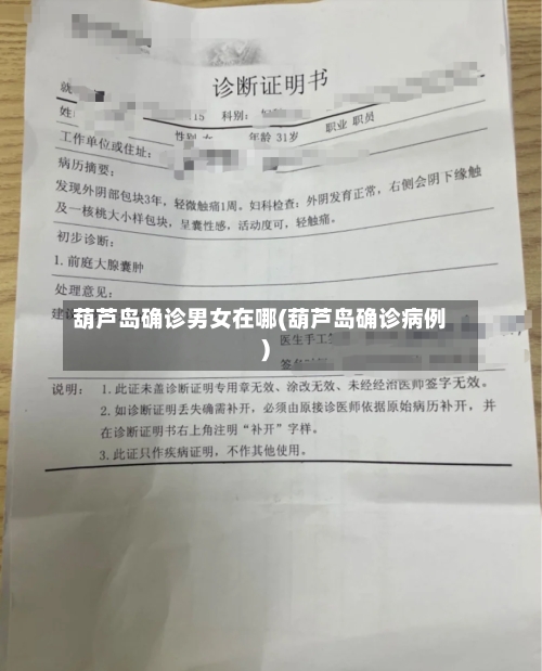 葫芦岛确诊男女在哪(葫芦岛确诊病例)