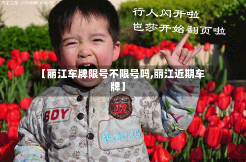 【丽江车牌限号不限号吗,丽江近期车牌】-第2张图片