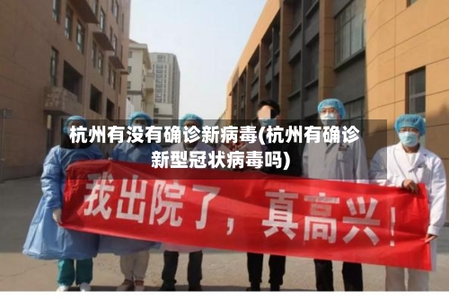 杭州有没有确诊新病毒(杭州有确诊新型冠状病毒吗)